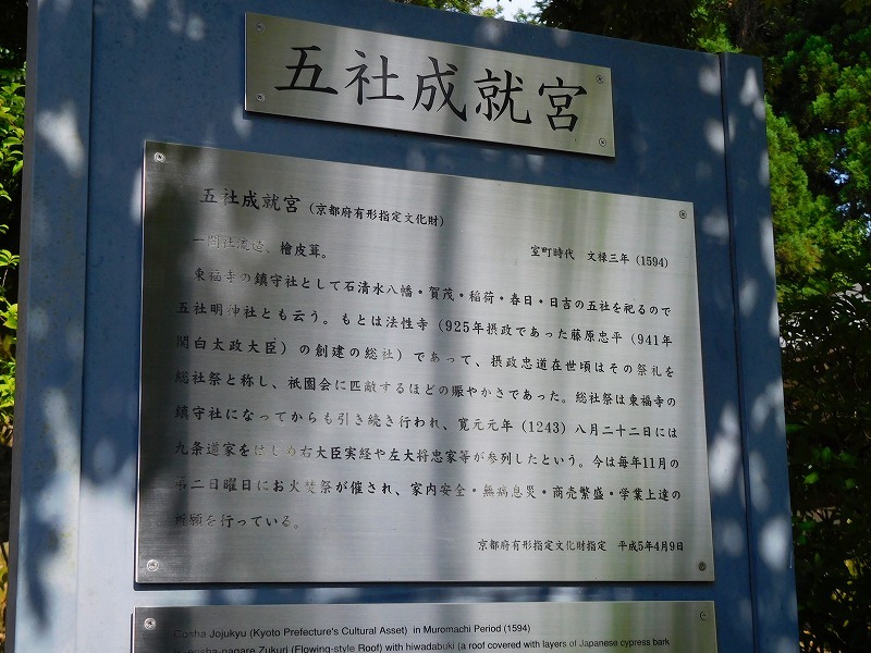 東福寺グリーンもみじ20170617_e0237645_22160693.jpg