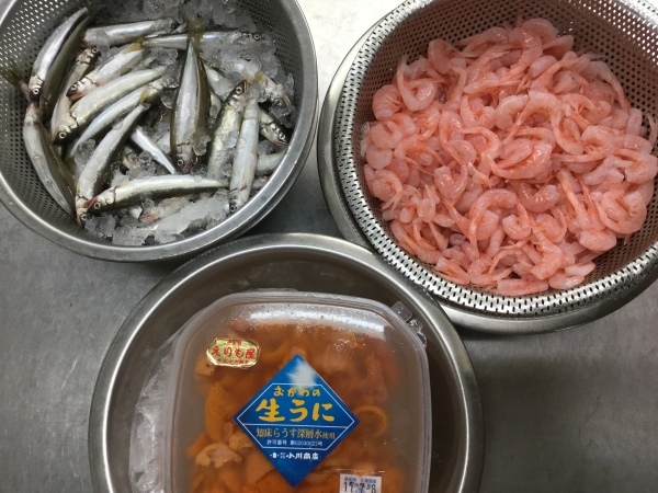 ナント 夜寝る時 寝袋に寝る魚がいるんですね 鹿児島市の魚専門店 満田商店です