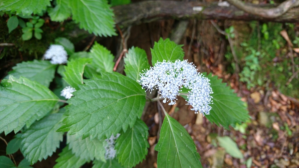 b0148050_21080308.jpg