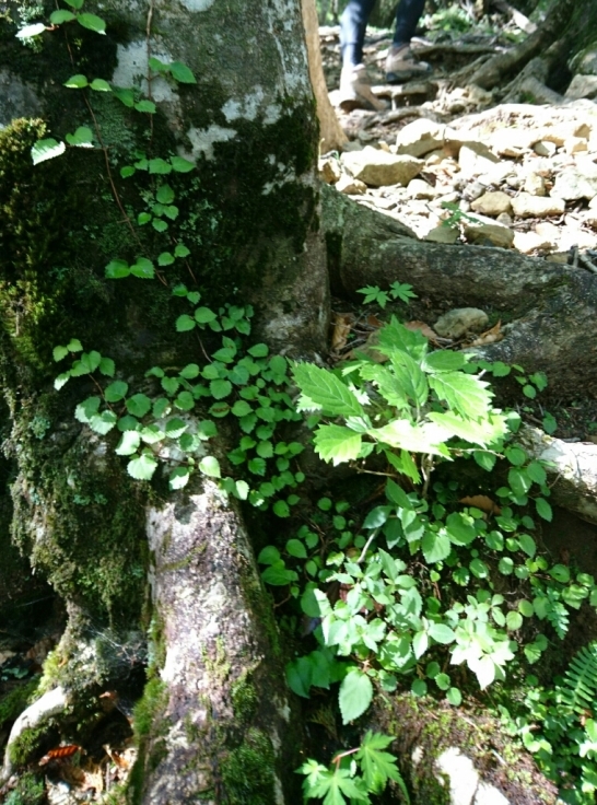 b0148050_21080732.jpg