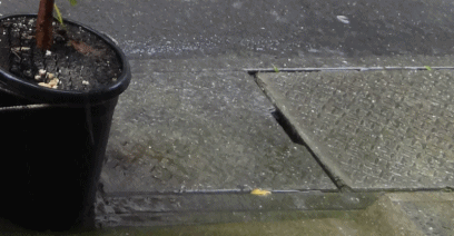 e0033751_15545732.gif