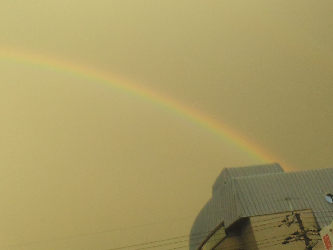 台風一過 ヽ(^。^)ノ 大きな虹と青い空 (*^−^)ノ 川西市北部に二次救急病院の空白地をつくらないでください☆七夕のお願い☆_f0061067_23501170.jpg