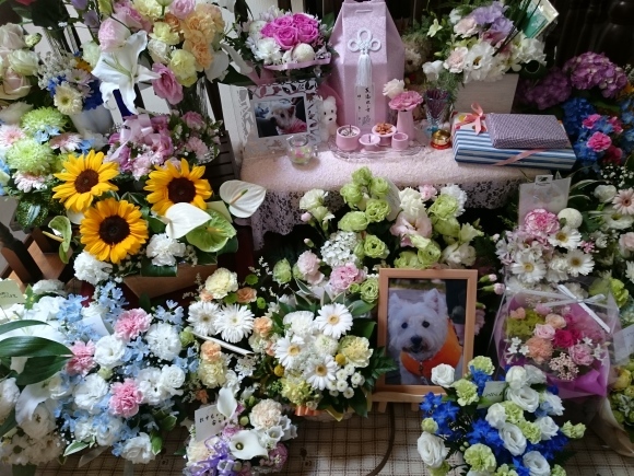 b0242873_23594800.jpg