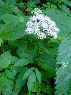 f0083977_22205550.jpg