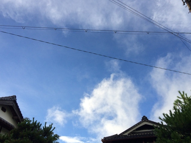 f0379286_19414593.jpeg