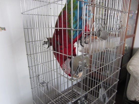 f0234590_20100266.jpg