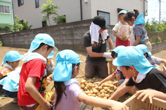 Potato Picking!_a0115391_10451696.jpg