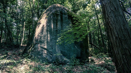 e0176993_06421243.jpg