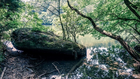 e0176993_06421273.jpg
