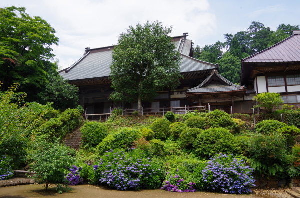 静寂に咲く紫陽花　～　大平山・大中寺_b0356401_21554162.jpg