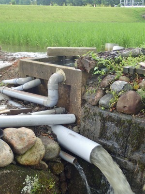 ようやく水を落としました!_c0336902_20463344.jpg