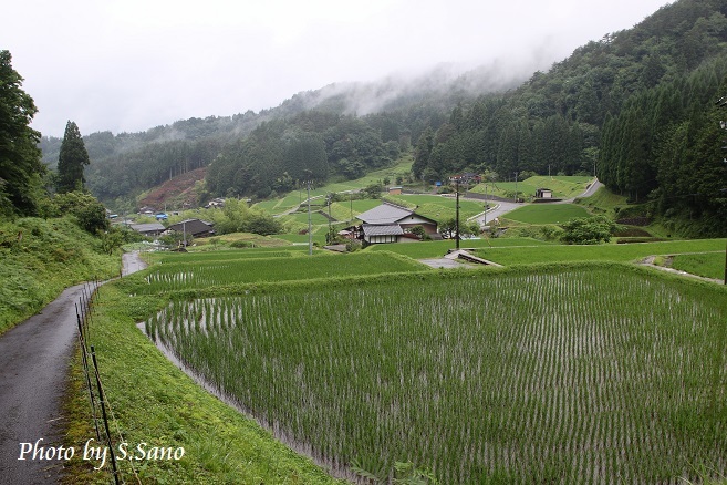 岐阜・愛知の旅（2017年7月）_b0348205_22075430.jpg