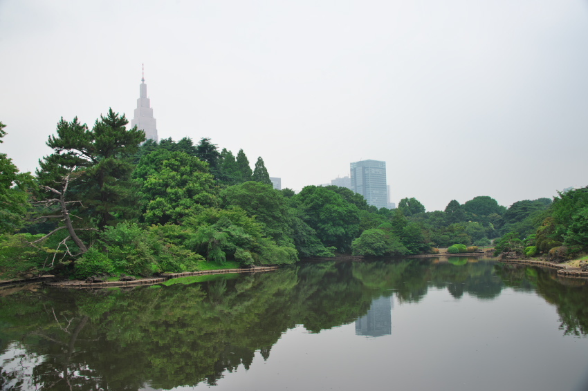 新宿御苑の夏の始まり2_a0263109_17114943.jpg