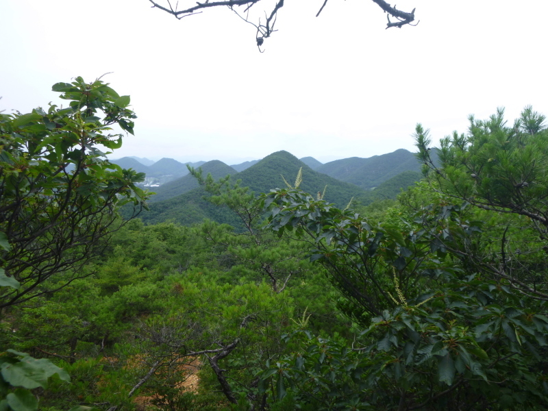 d0170615_17423255.jpg