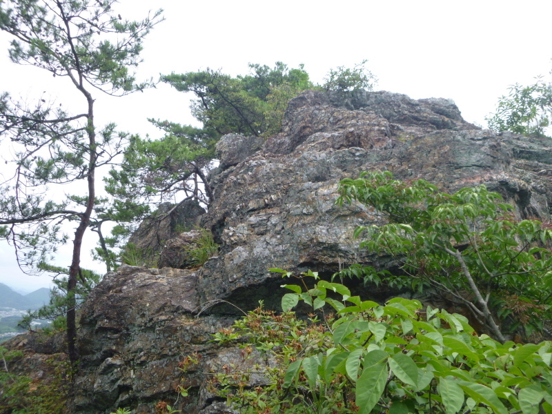 d0170615_17431115.jpg