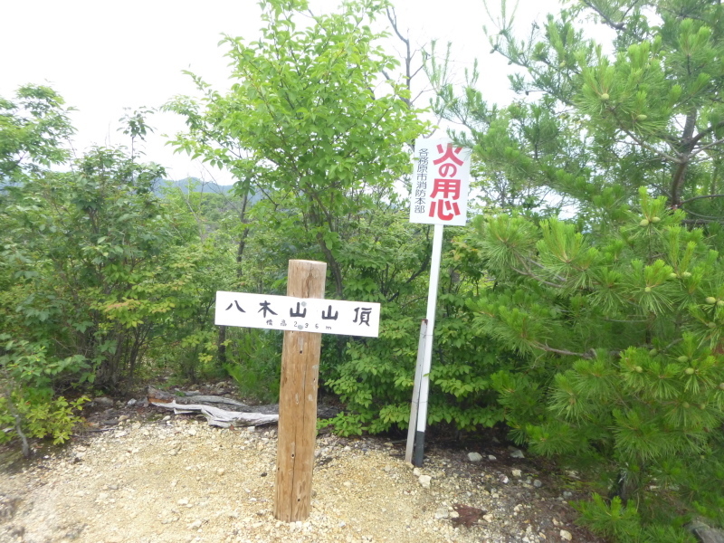 d0170615_17433749.jpg
