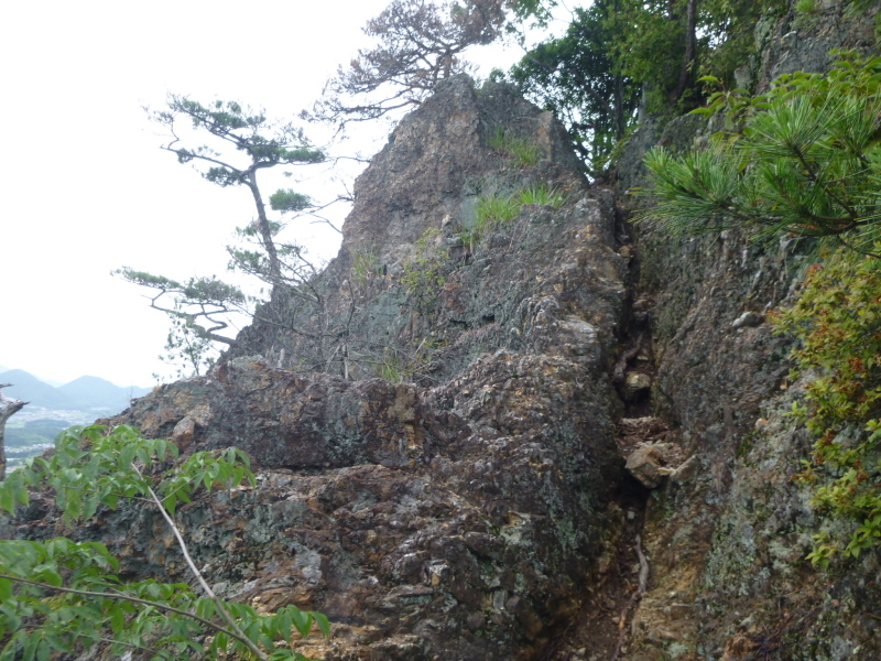 d0170615_17441145.jpg