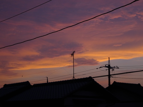 b0163121_22483016.jpg