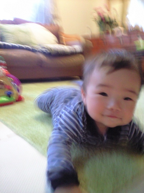 b0080027_10464167.jpg