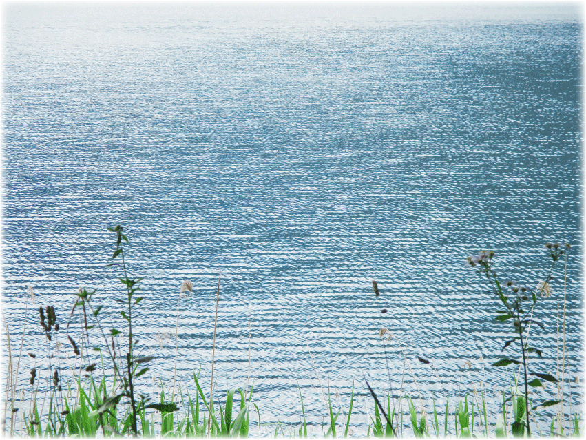 c0107829_10302908.gif