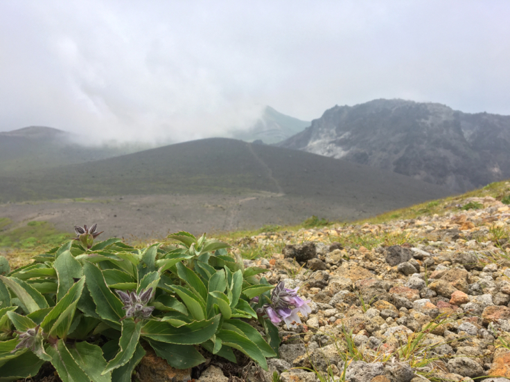 樽前山登山2017_b0260738_12270918.jpg