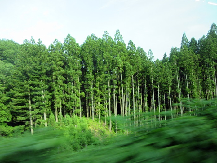 【大人の休日倶楽部パス旅】⑪米沢から山形経由で仙台まで【初めての仙山線】_b0009849_1015069.jpg
