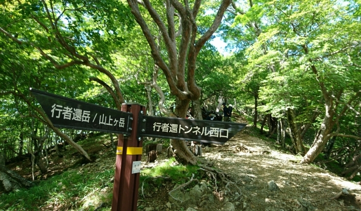 b0148050_08405216.jpg
