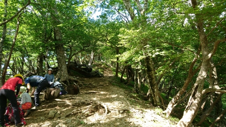 b0148050_08405800.jpg