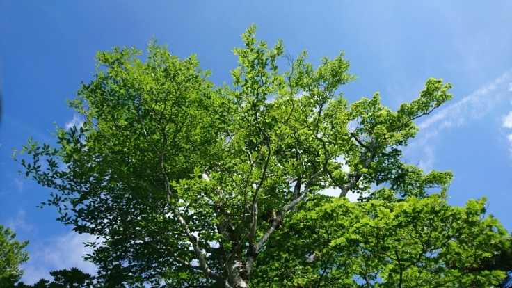 b0148050_08410300.jpg