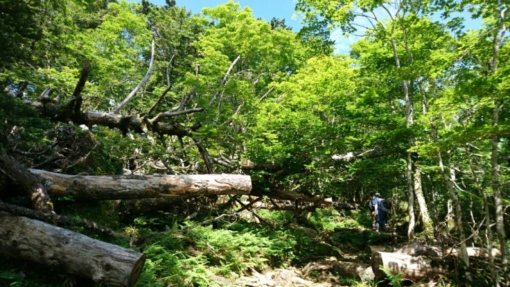 b0148050_08411411.jpg