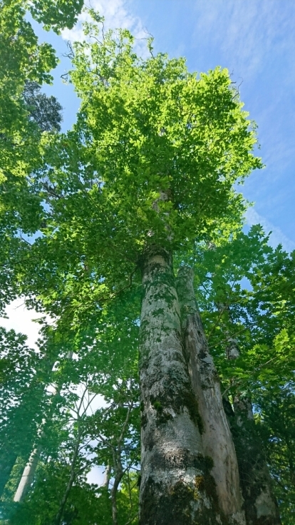 b0148050_08411951.jpg