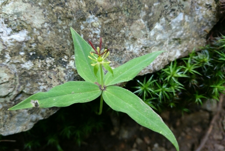 b0148050_09003135.jpg