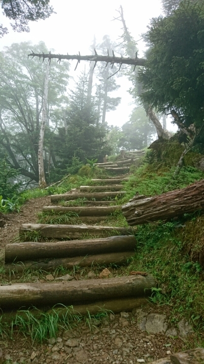 b0148050_12475810.jpg