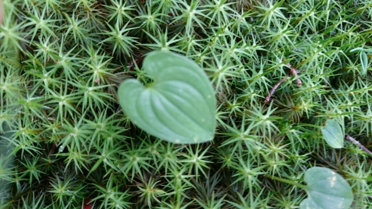 b0148050_12544008.jpg