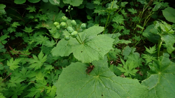 b0148050_18281931.jpg