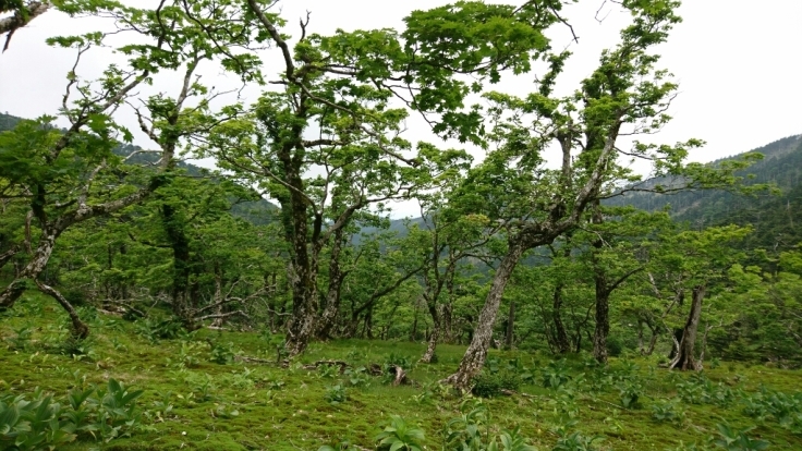 b0148050_18472292.jpg