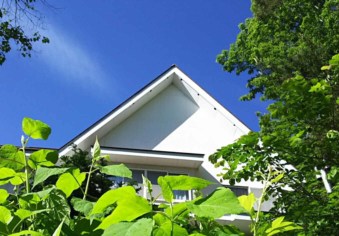 f0364455_15324249.jpg
