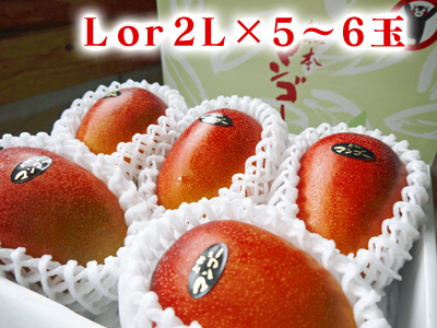 熊本県産!樹上完熟アップルマンゴー令和3年の予約受付開始!煌&ファミリータイプの商品ラインナップ紹介_a0254656_18011281.jpg