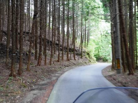 e0044657_22173870.jpg