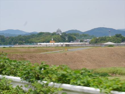 e0044657_22214830.jpg