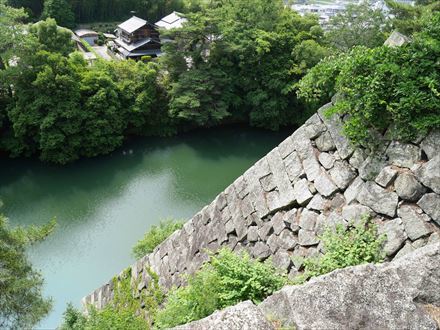 e0044657_22260915.jpg