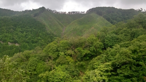 c0016259_22002818.jpg
