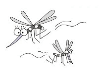 a0331562_17224943.gif