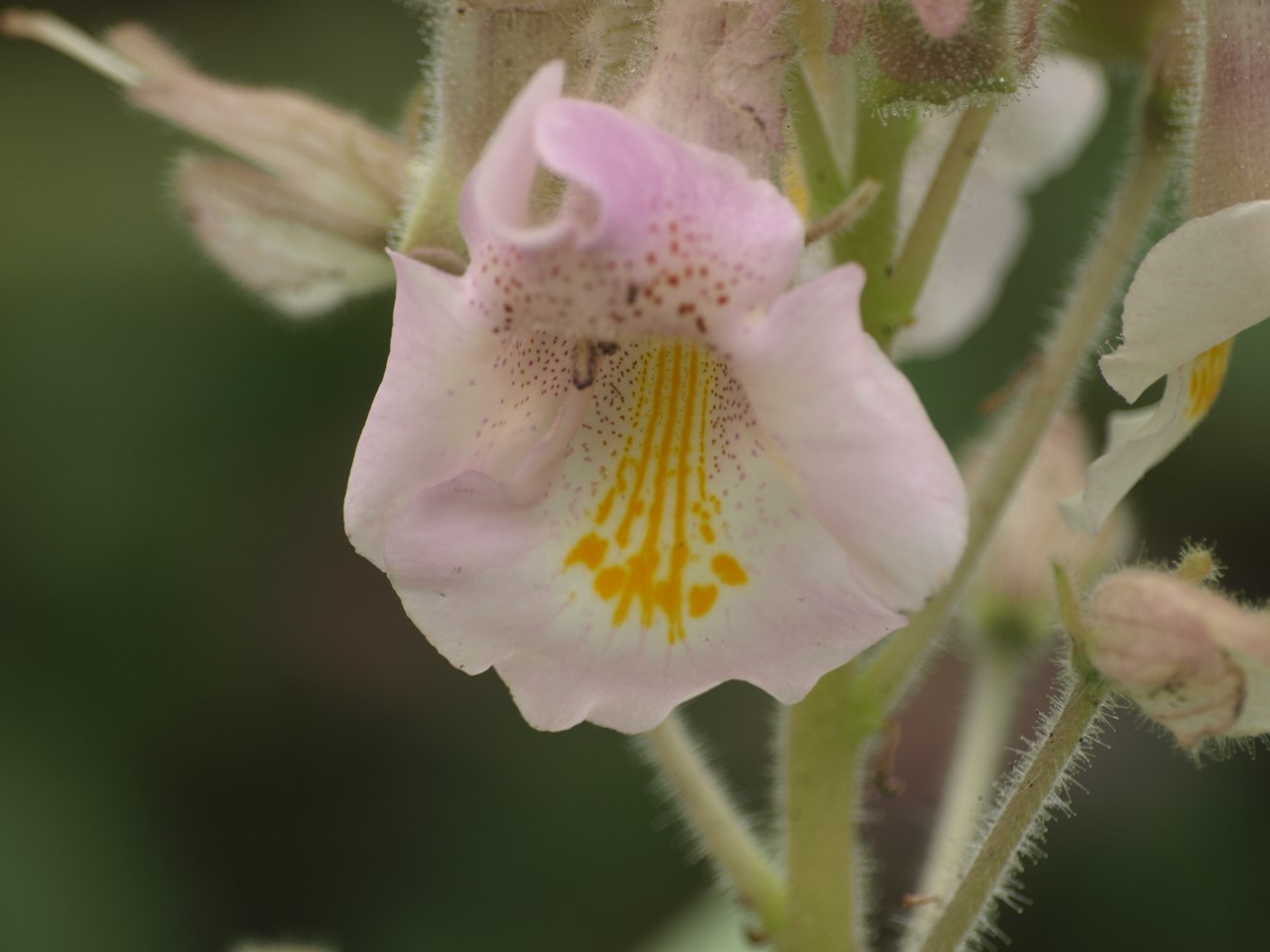 d0054276_20334944.jpg