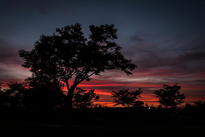 Muggy Sunset_d0353489_2163260.jpg