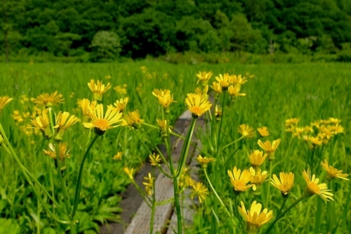 e0304001_07243200.jpg