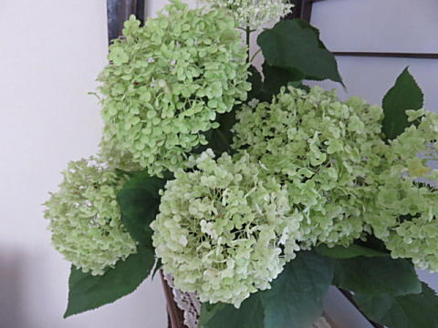 d0046702_04583266.jpg