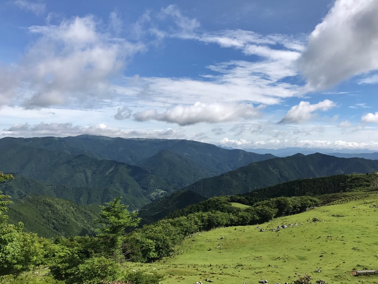 初車中泊と四国カルストドライブ♪︎_c0323003_06295771.jpg