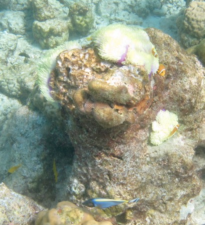 e0338303_91237.jpg