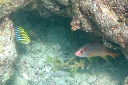 e0338303_96870.jpg